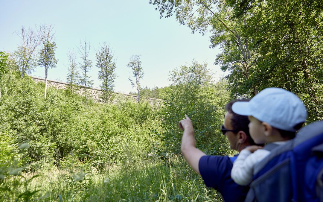Urlaub zuhause: Sieben Familienabenteuer mit der VGN-Familienexpedition